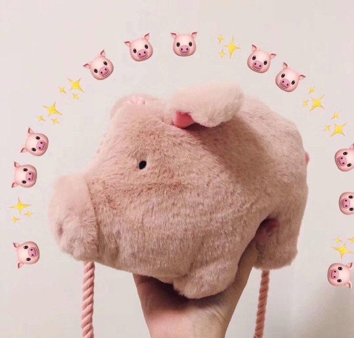 chanel经典女包包,chanel包包女