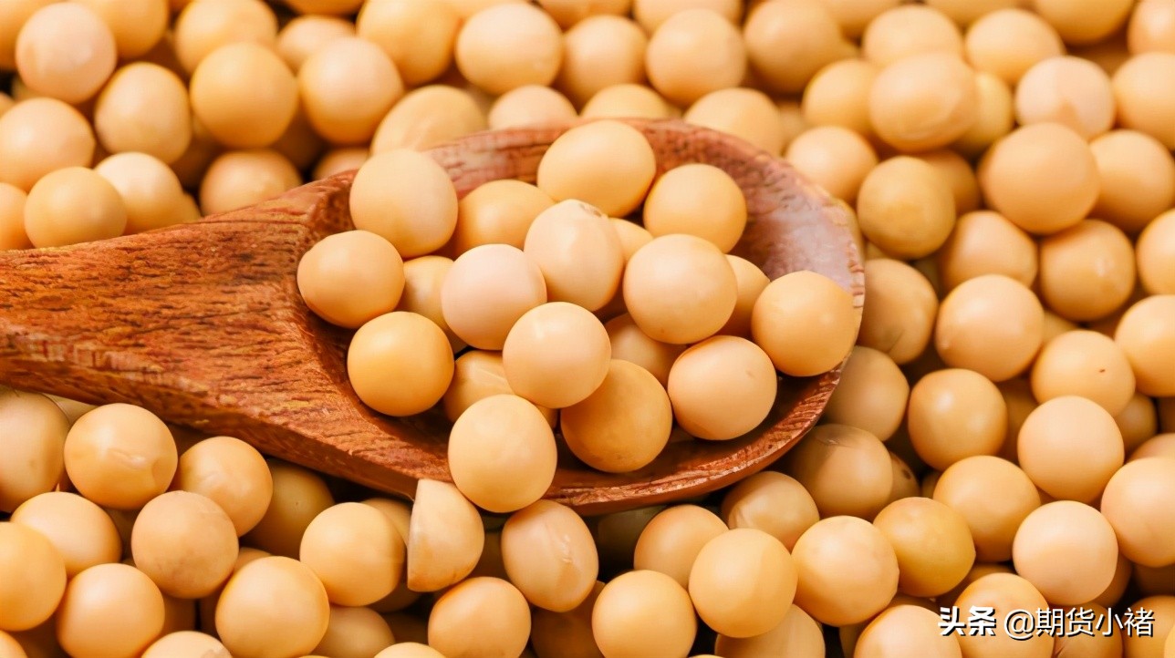 美豆出口强劲豆粕止跌反弹,美豆跌为什么国内豆粕涨