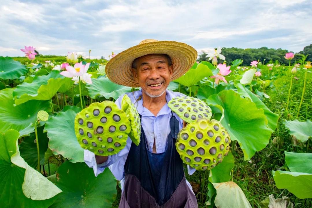 走向我们的小康生活9张海报,幸福新时代主题摄影作品