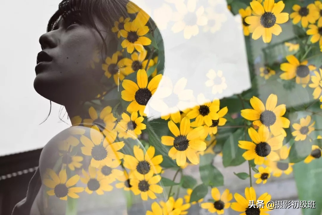 尼康apsc镜头大全,尼康apsc画幅是什么卡口