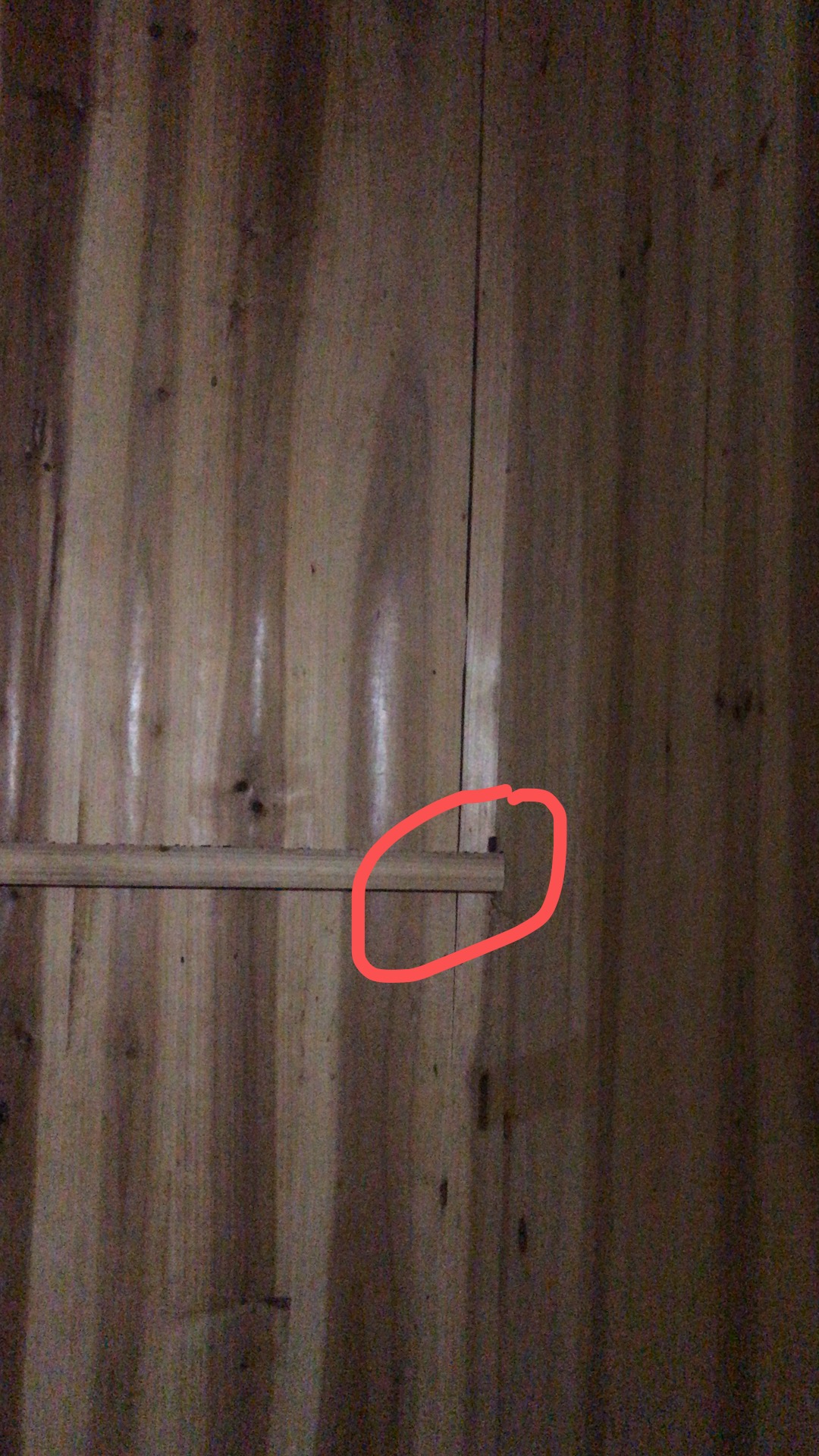 比较彻底地消灭家里的蟑螂,家里很多蟑螂怎么把它消灭掉