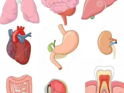这几类情况医保不予报销您知道吗,武汉医保哪6种不予报销