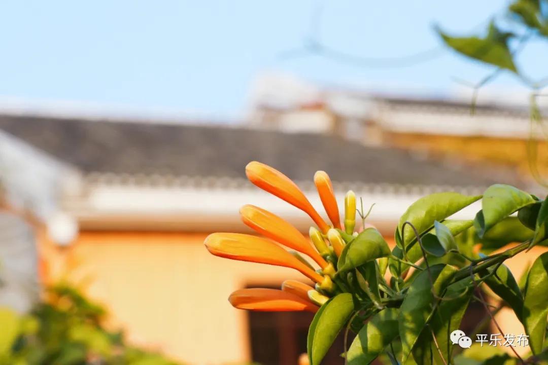 美女游玩桂林漓江,美女去桂林旅游风景太美了