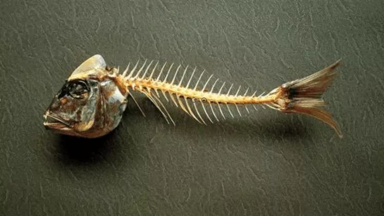 侃爷椰子联名衣服 (virgil abloh侃爷椰子)