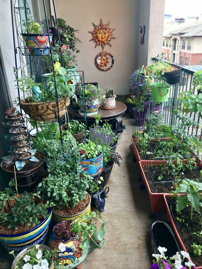 外国网友分享的风景,国外网友分享的风景