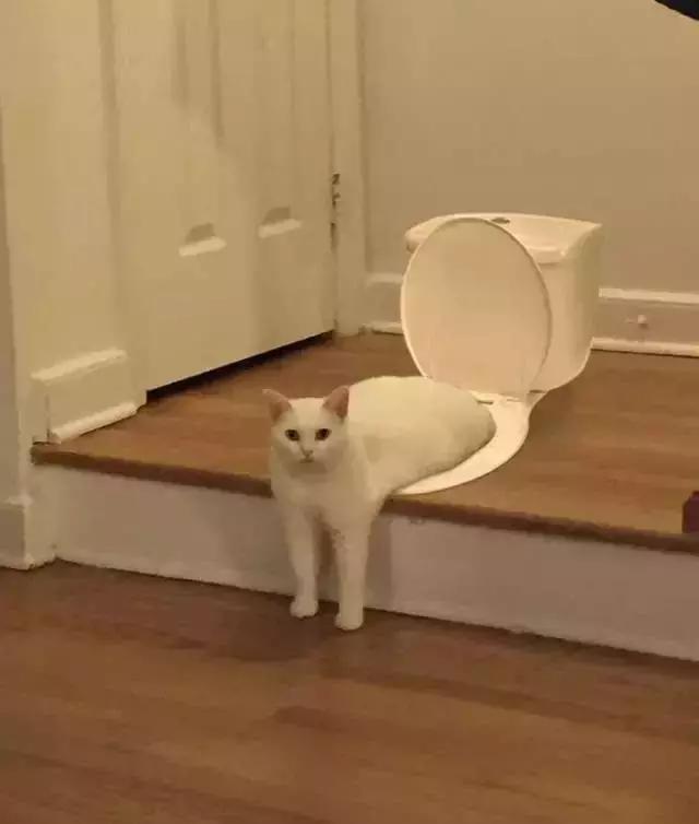 拉粑粑姿势不对后果很严重，来测测你的姿势对不对