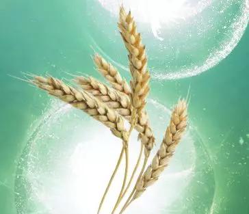 去眼纹去黑眼圈用什么方法,去眼袋眼纹公认最好用的土方法