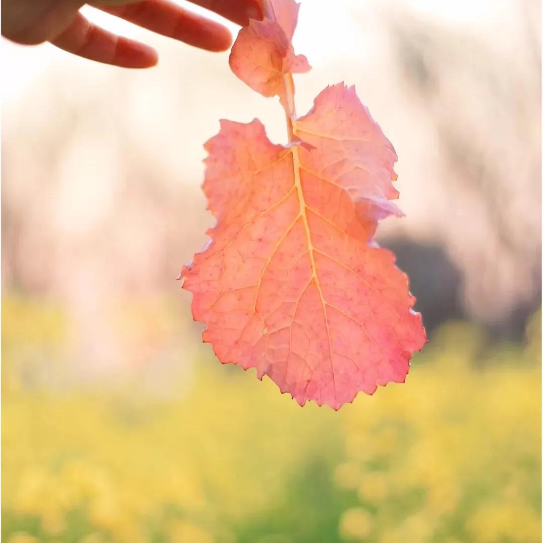 24岁的迷茫生活该怎么办,28岁一事无成迷茫焦虑看什么书