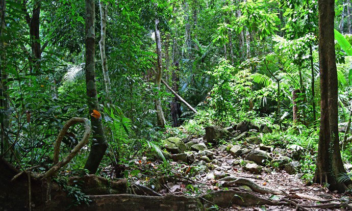 甲米皮皮岛旅游攻略,普吉岛皮皮岛甲米推荐