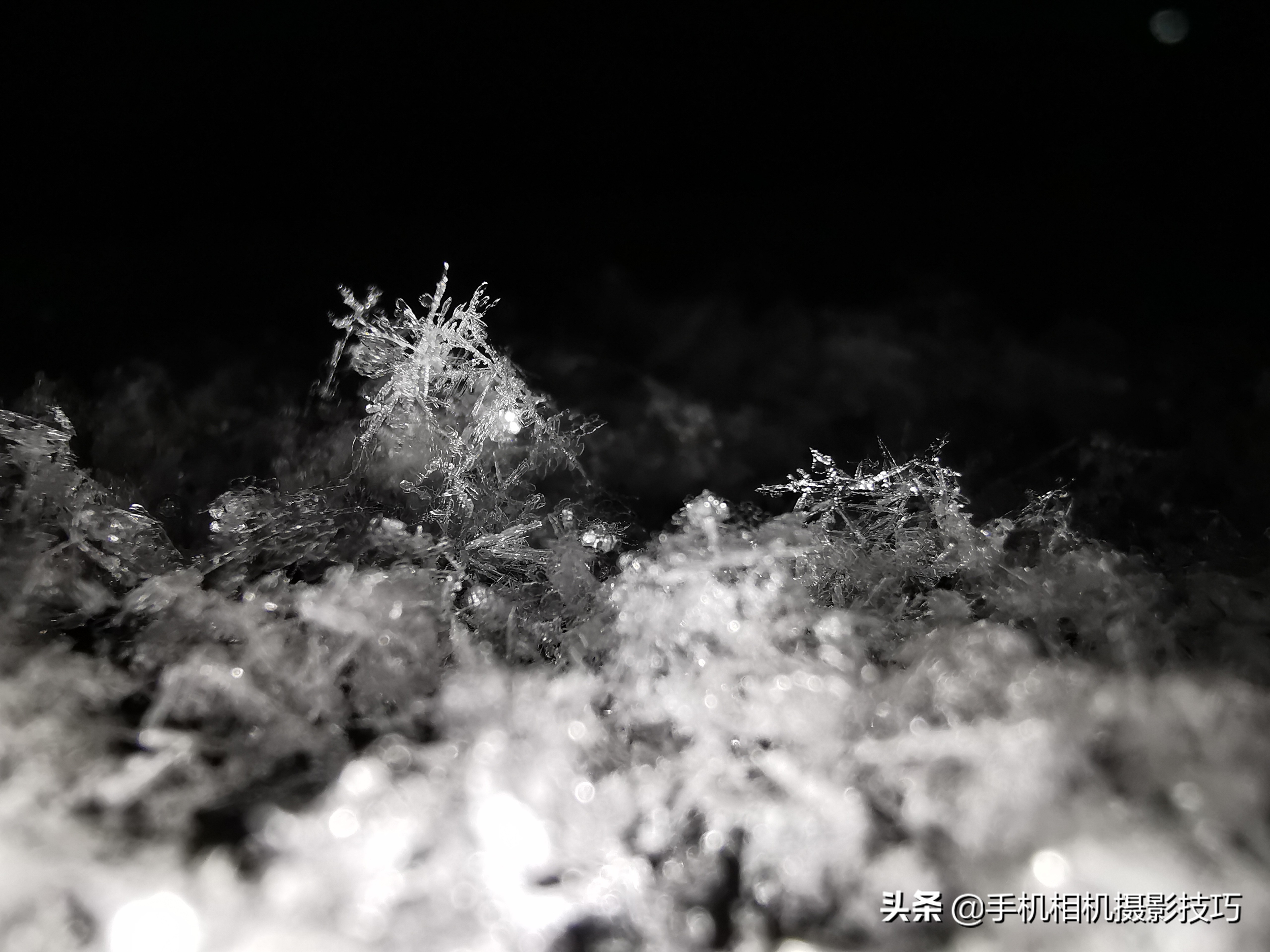 不用滤镜也能拍大片,不用镜头的相机拍照效果