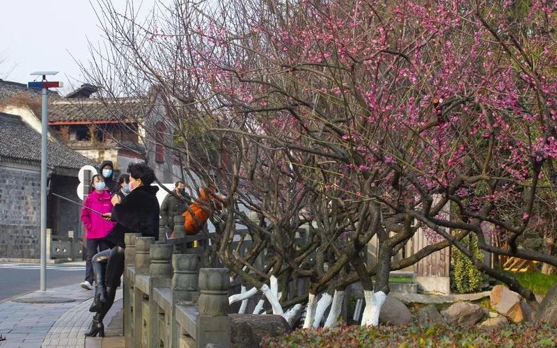 街拍20图：战“疫”中的宁波