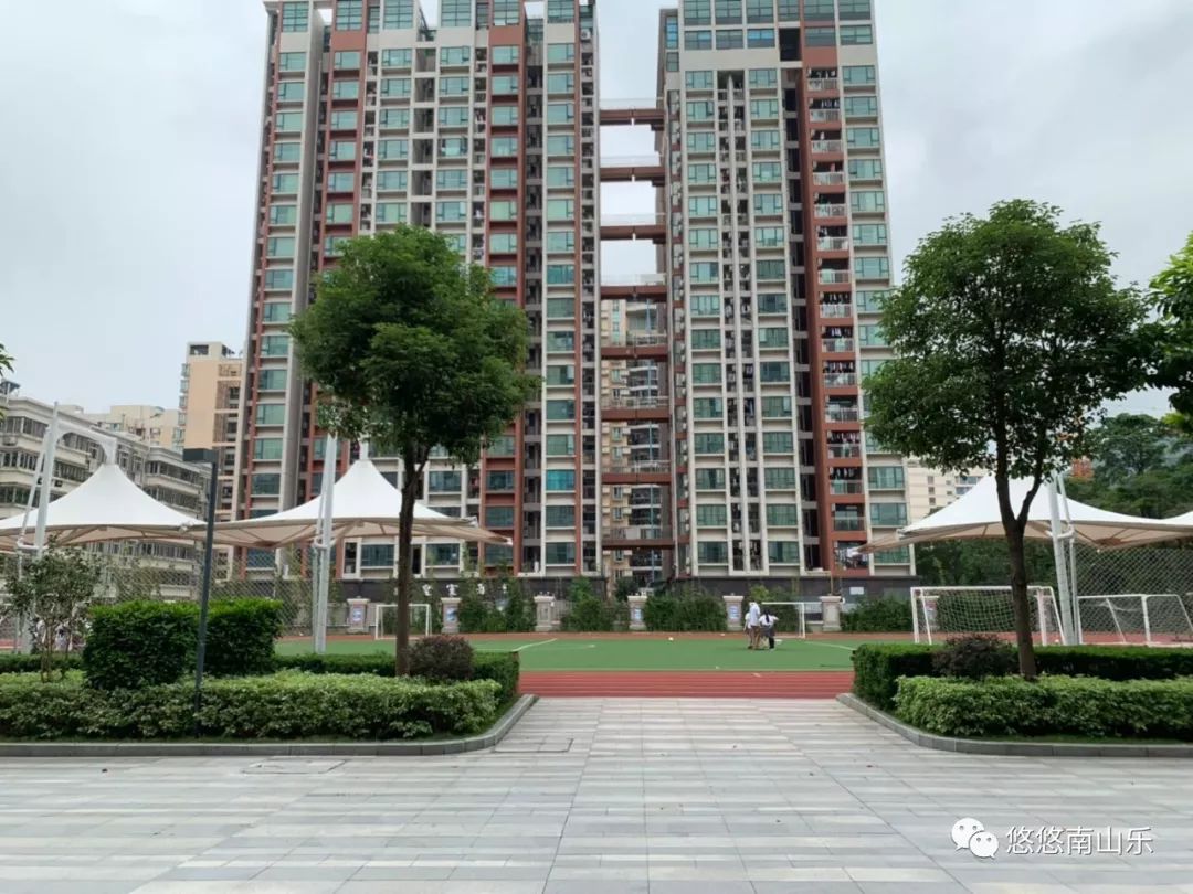 爱选课丨深圳国际学校择校系列之南山国际学校探校记