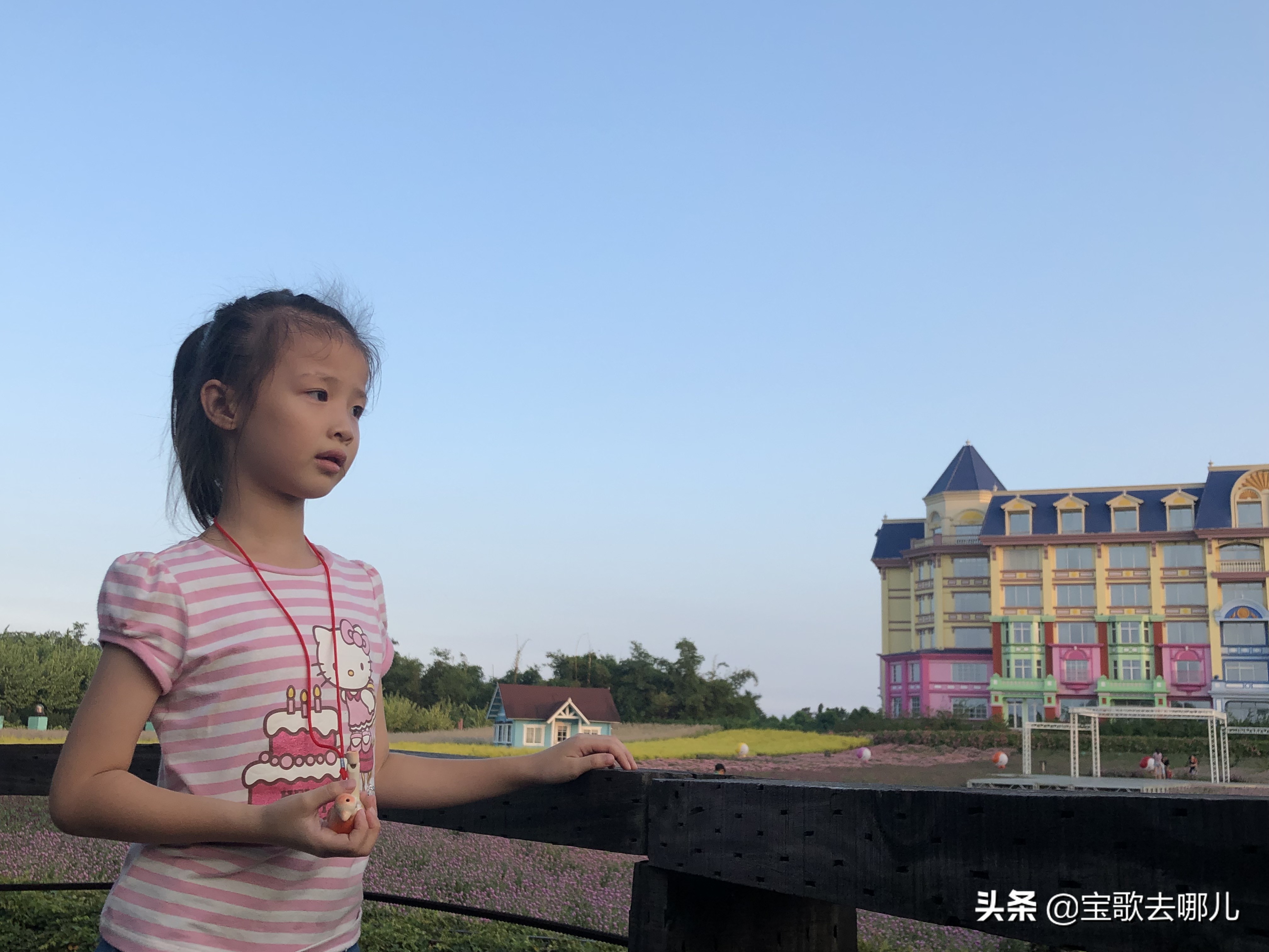 南沙百万葵园游记,南沙百万葵园亲子游