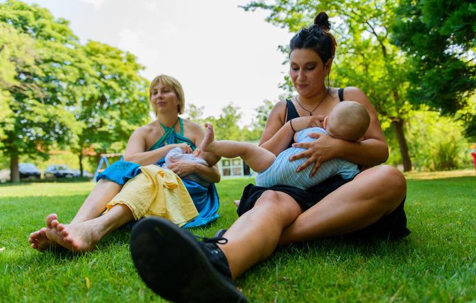 燕窝真的一点用都没有吗,燕窝到底有没有用
