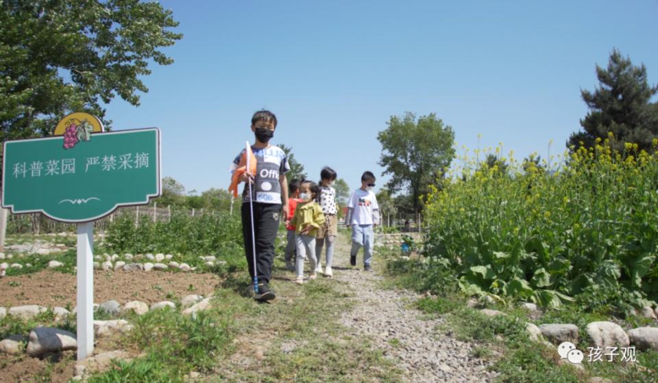 太阳葡萄小镇亲子乐园,亲子游太阳葡萄小镇