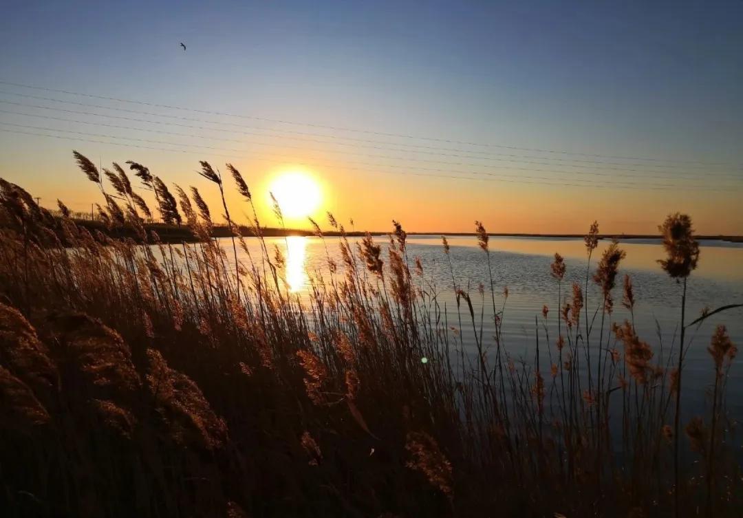 一个不出郑州的踏青好去处,天津春游公园推荐