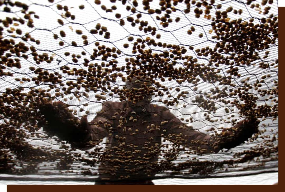 如何点一杯咖啡显得专业,如何点一杯美式咖啡