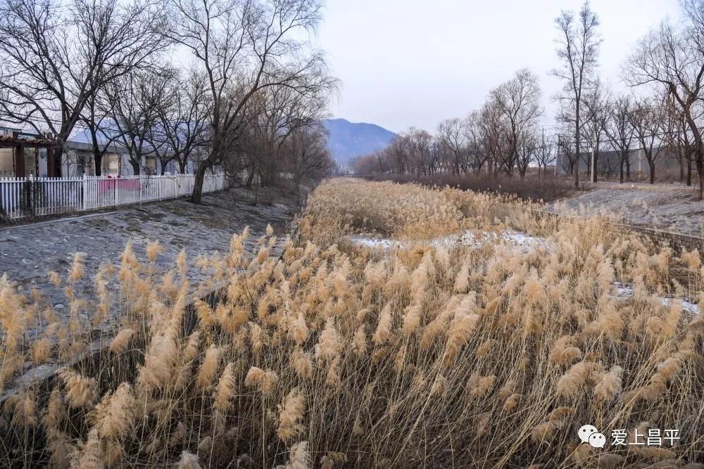 北京昌平十三陵民宿推荐,昌平民宿独立小院20人