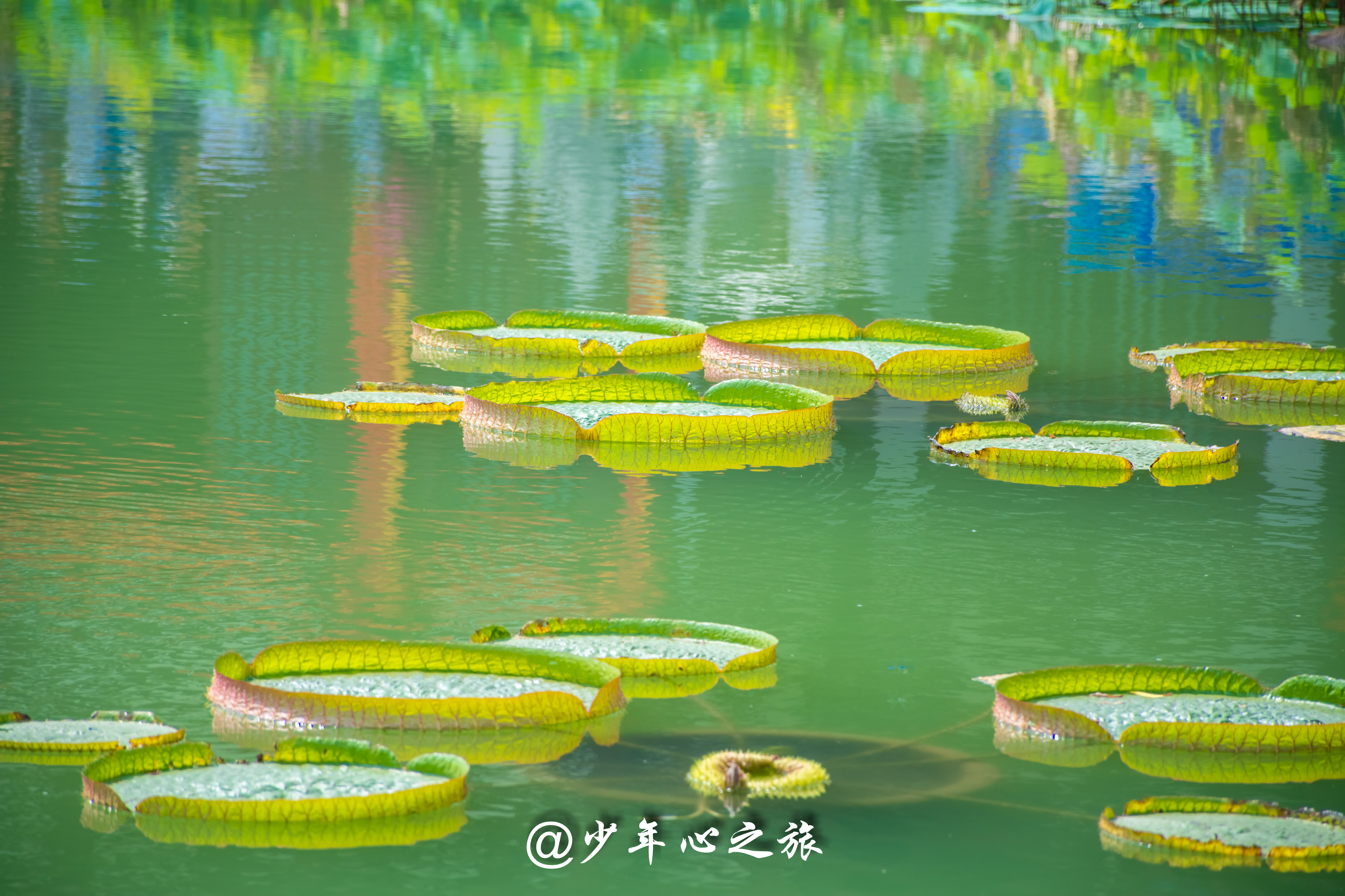 华清宫里面的坑是真的还是假的,华清池最坑的景点