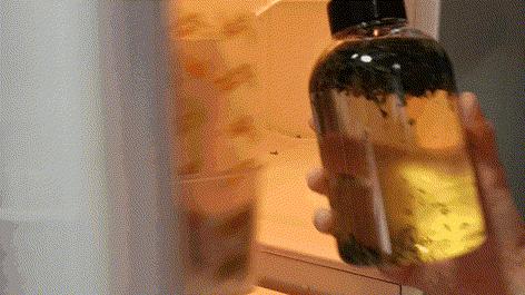 茶里冷泡茶怎么泡好喝,一杯冷泡茶清凉一整夏