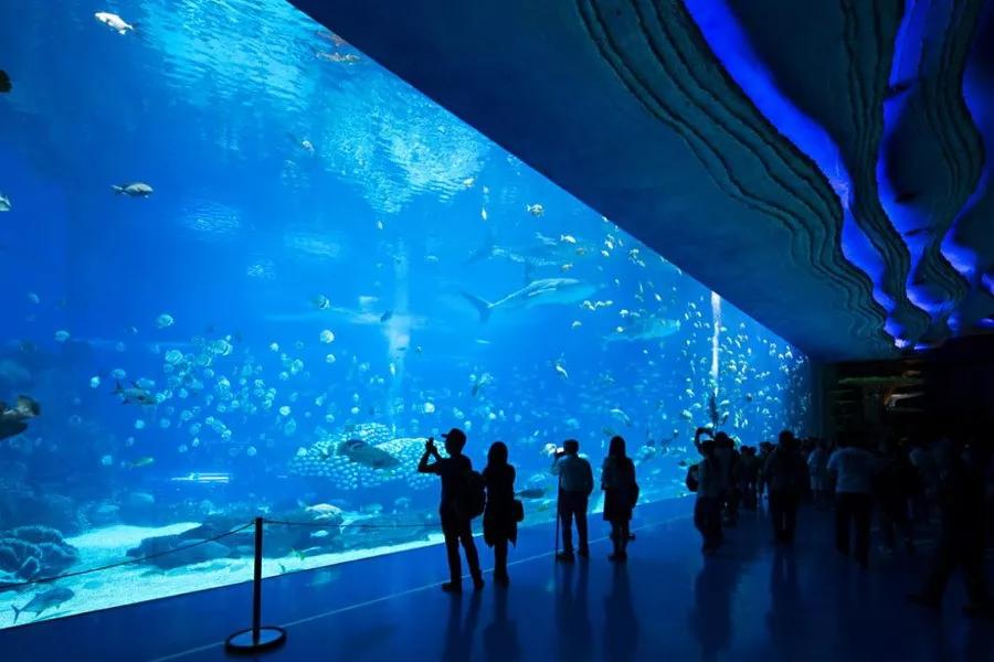 珠海长隆海洋王国建造,珠海长隆海洋王国海底房顶