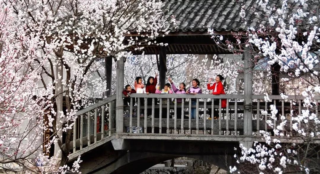戴口罩的冬天太漫长，差点忘了中国的春天有多美