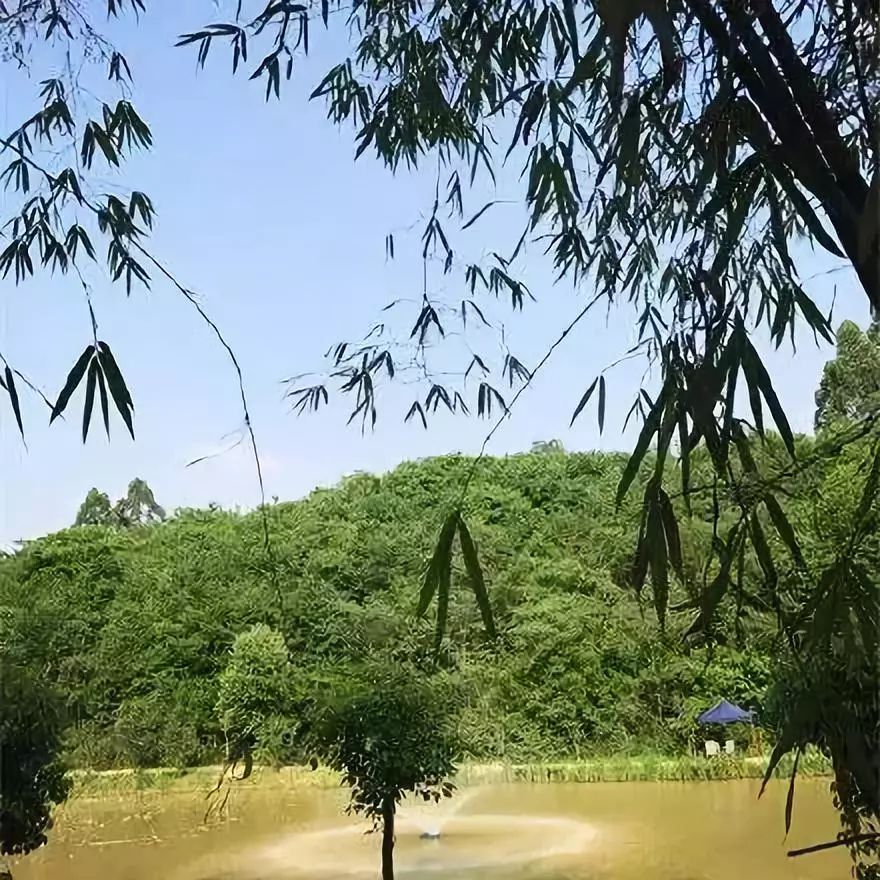 成都周边1小时车程农家乐,成都半小时路程好玩的地方