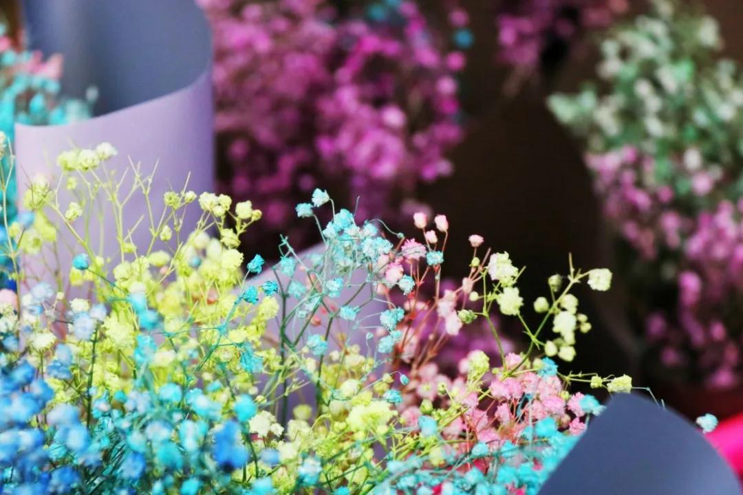 <html>
<head><title>502BadGateway</title></head>
<body>
<center><h1>502BadGateway</h1></center>
<hr><center>nginx</center>
</body>
</html>
<!--apaddingtodisableMSIEandChromefriendlyerrorpage-->
<!--apaddingtodisableMSIEandChromefriendlyerrorpage-->
<!--apaddingtodisableMSIEandChromefriendlyerrorpage-->
<!--apaddingtodisableMSIEandChromefriendlyerrorpage-->
<!--apaddingtodisableMSIEandChromefriendlyerrorpage-->
<!--apaddingtodisableMSIEandChromefriendlyerrorpage-->
