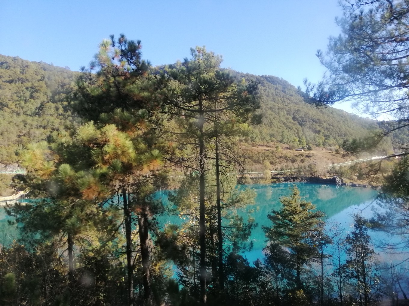 云南六日五晚免费游,云南五天四晚一人游