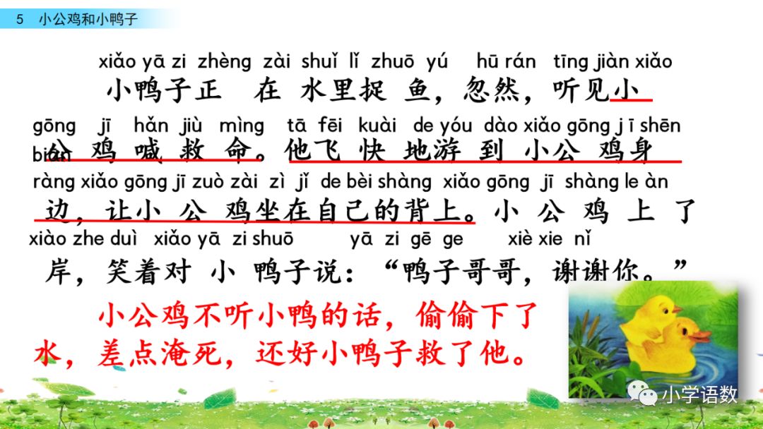 小公鸡和小鸭子一年级下册视频,一年级下语文小公鸡和小鸭子讲解