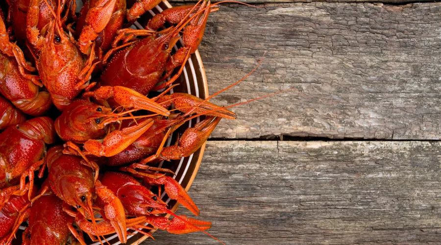 酸碱体质骗局与化学的关系,酸碱体质是真是假