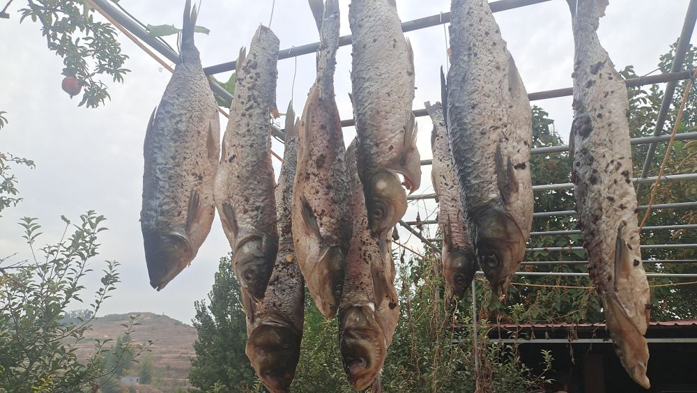 用盐花椒腌的鱼怎么做好吃,教你制作花椒鱼