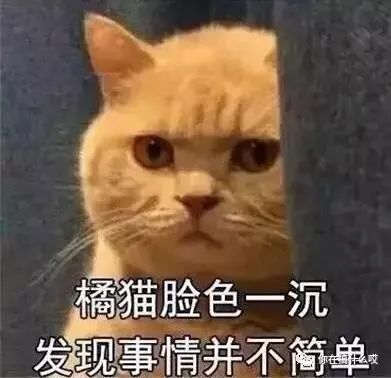 lokofour酒,四洛克fourlock酒多少度