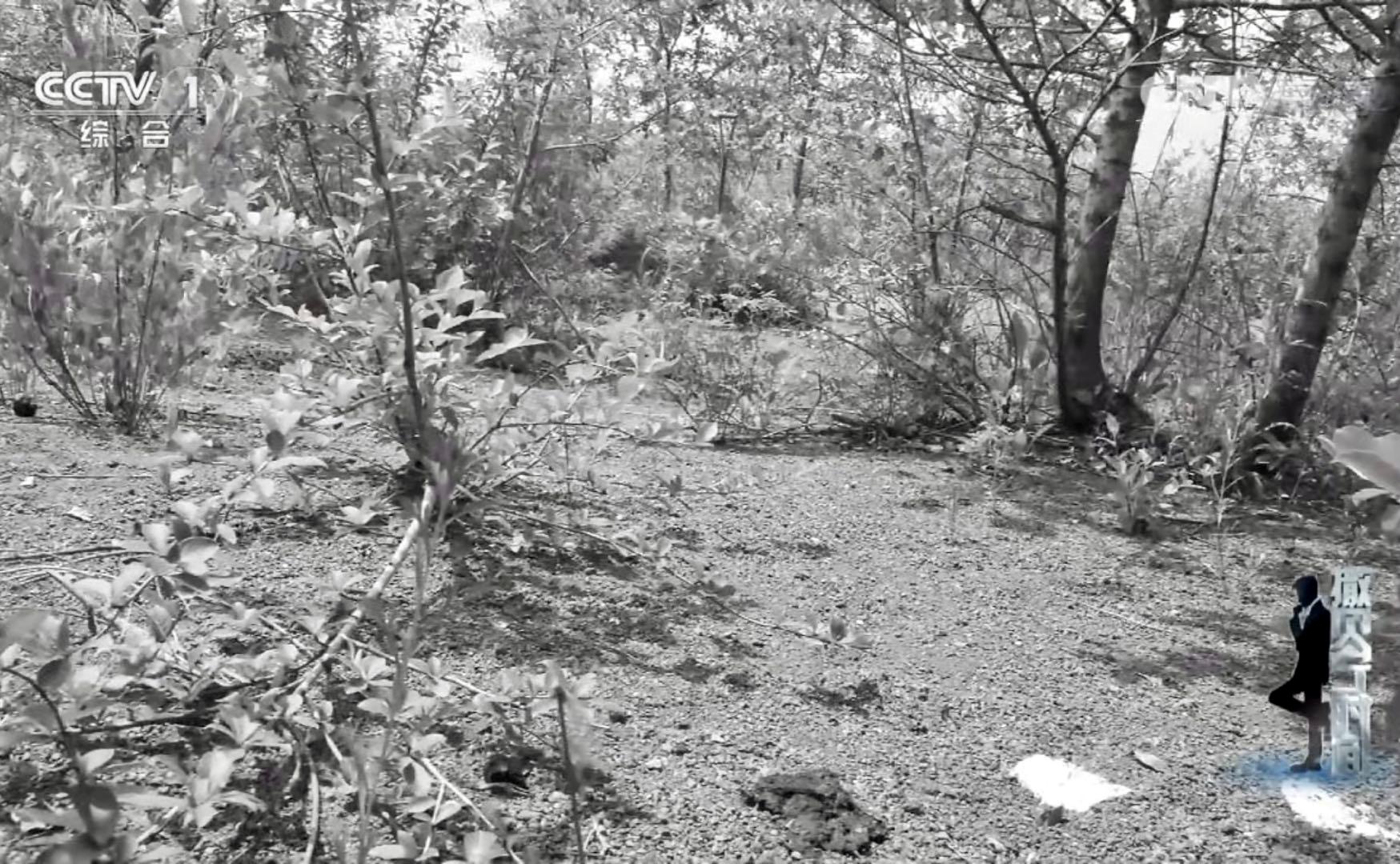 真实离奇失踪案件还原,中国诡案实录真实事件杀人犯