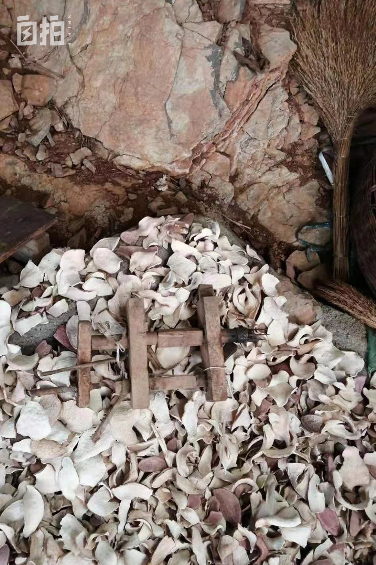 我14岁就辍学经历了多少苦,我14岁初中没读完就辍学