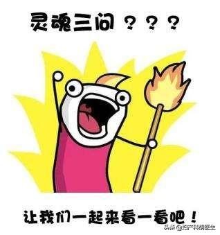 三文鱼孕妇晚期能吃吗,三文鱼孕妇真的不能吃吗