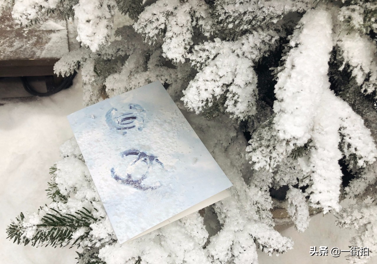 克里斯汀穿香奈儿图片,克里斯汀黑衣造型