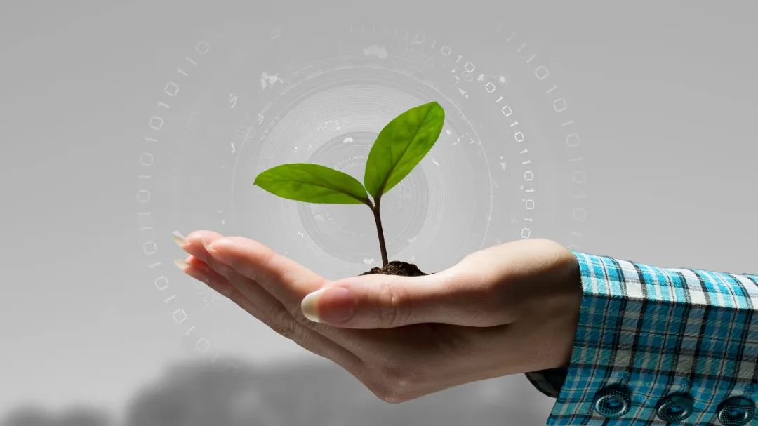 人肉搜索涉及到哪些违法行为,网上被人肉如何举报