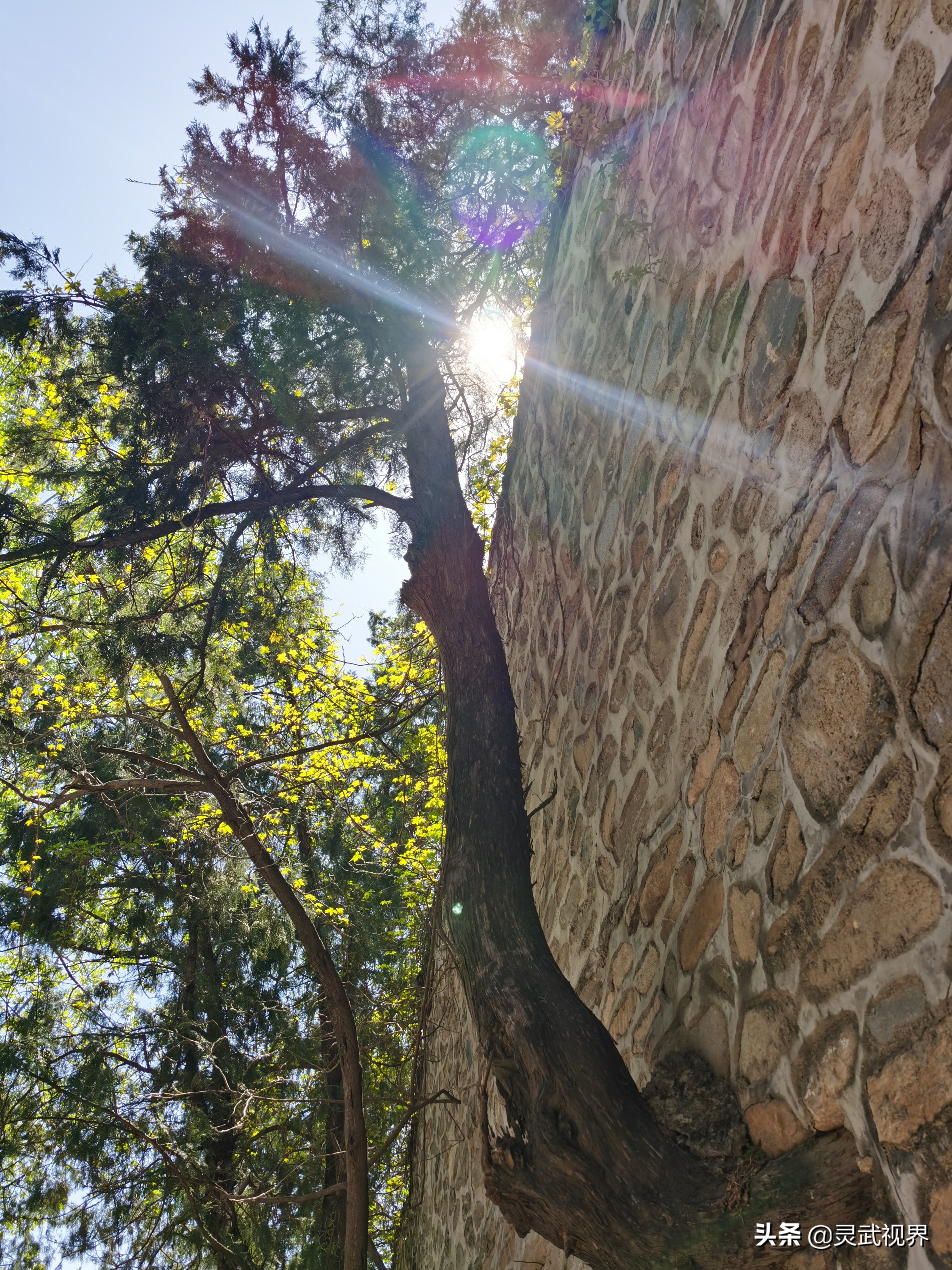 带你看看不一样的装饰,带你看看不一样的家