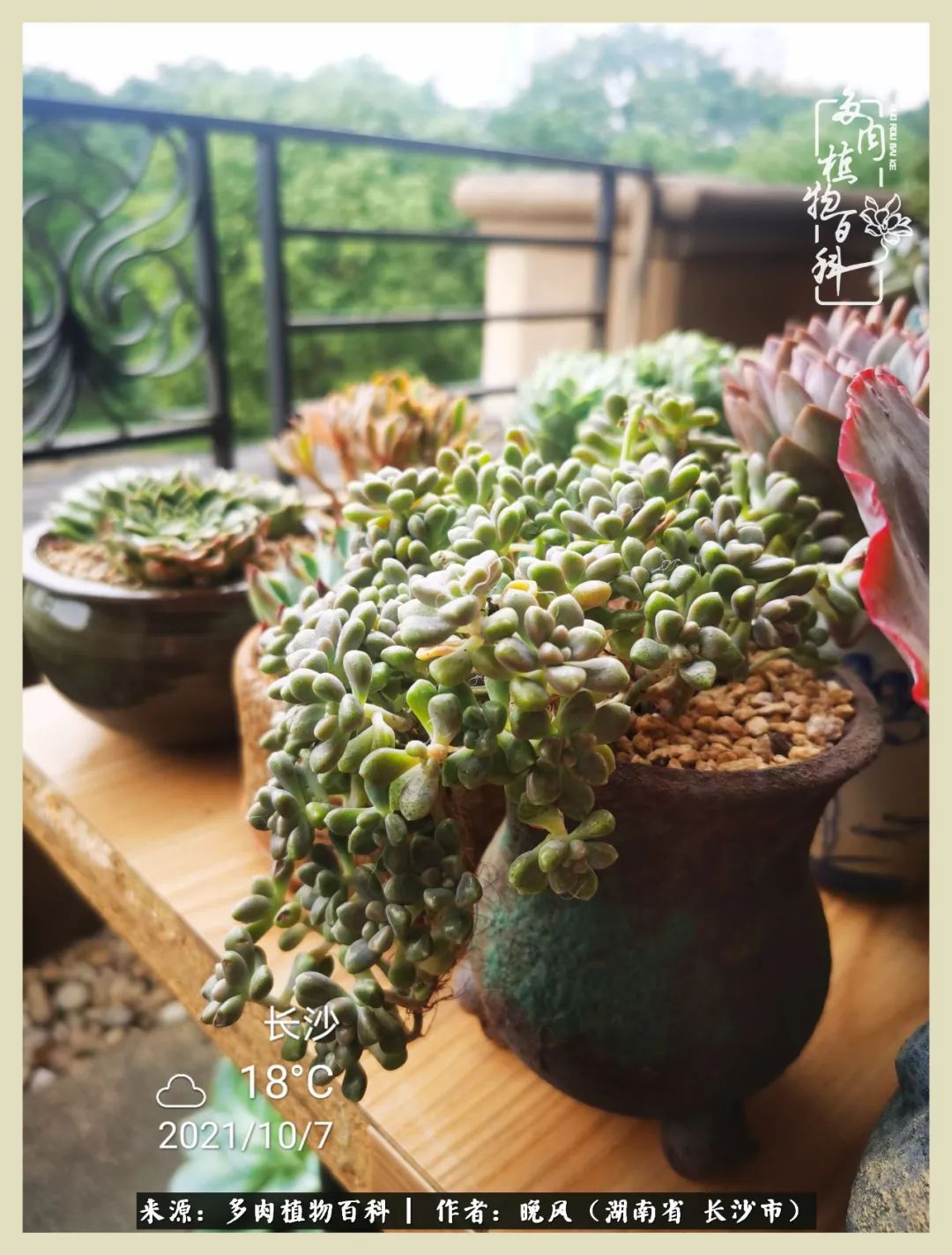 摇身一变成了奶爸,摇身一变成为打工人