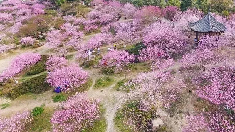 成都市秀丽东方,成都秀丽东方还在开放吗