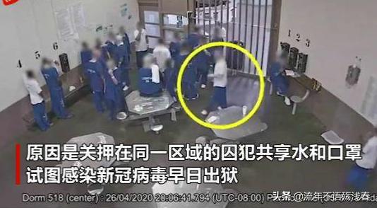 双胞胎鉴定同母异父,双胞胎鉴定同母异父视频完整版