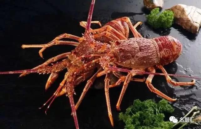 世界高端海鲜品牌,世界顶级海鲜在哪里