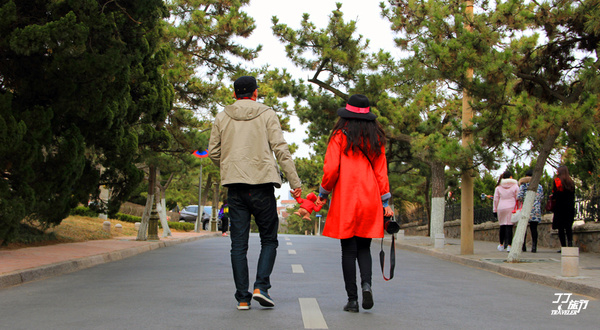 海滨城市青岛,青岛海滨城市在什么地方