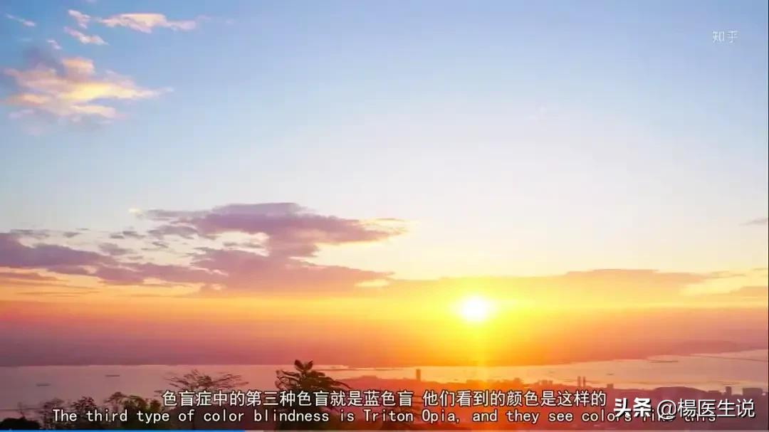 黑白色盲眼中的世界,色盲眼中的世界