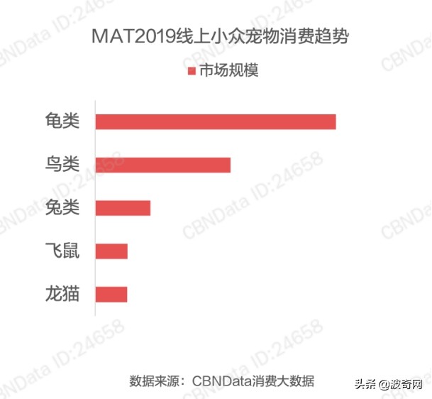 小宠市场,可以摆摊卖的小宠