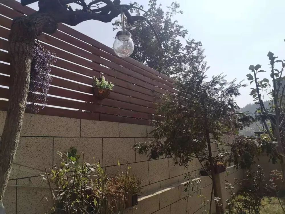 别墅泳池阳光房，秋千滑梯投影仪...豪华狗院子曝光