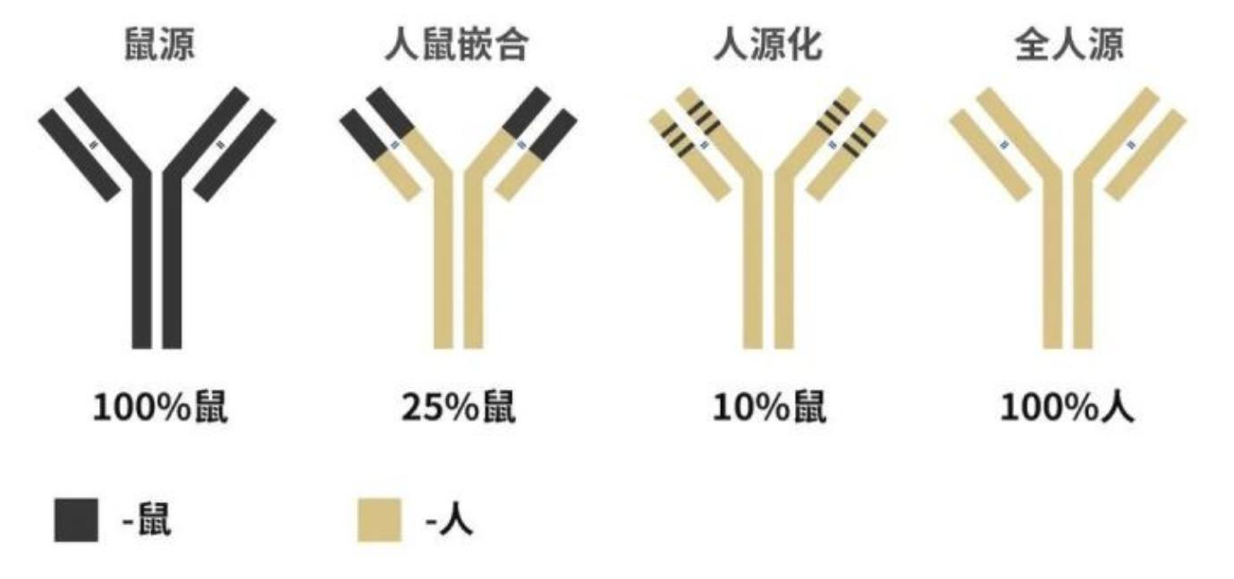 全球首个新冠病毒治疗性抗体,中国率先进临床试验!怎样的抗体?