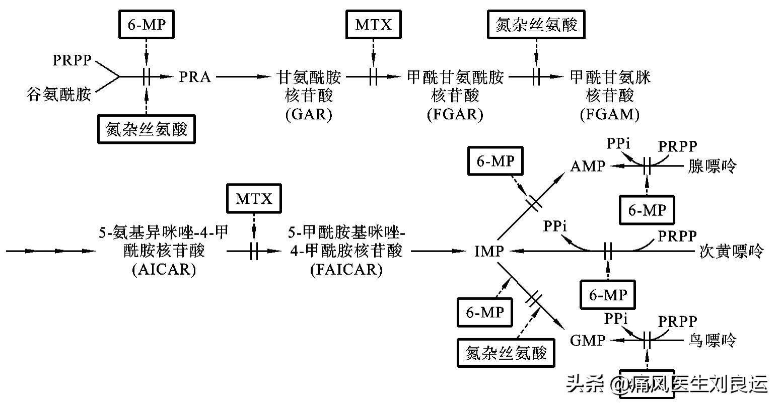 痛风是遗传因素大还是后天因素大,痛风是不是有遗传的因素呀