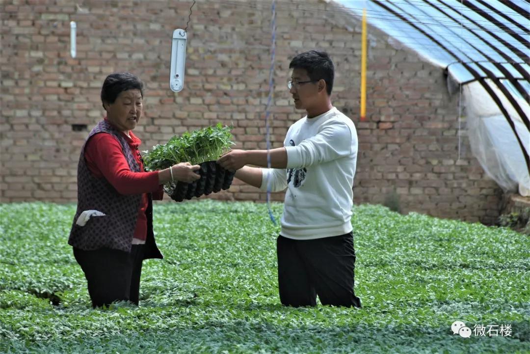 石楼丁喜辉:90后“草根”的创业致富路